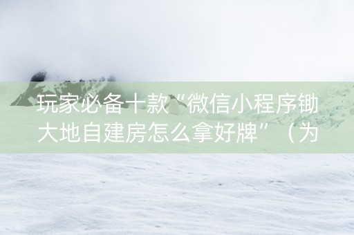 玩家必备十款“微信小程序锄大地自建房怎么拿好牌”（为什么有人一直赢)