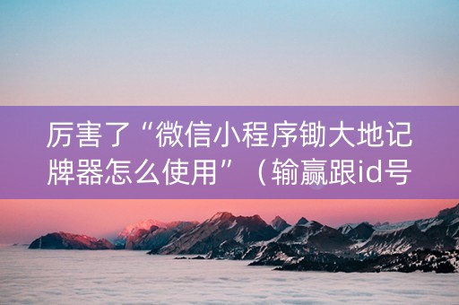 厉害了“微信小程序锄大地记牌器怎么使用”（输赢跟id号有关系吗)
