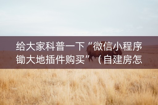 给大家科普一下“微信小程序锄大地插件购买”（自建房怎么赢)