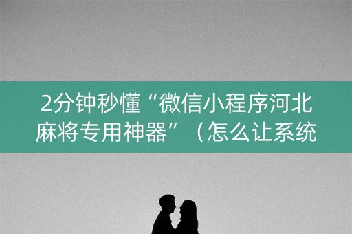 2分钟秒懂“微信小程序河北麻将专用神器”（怎么让系统给你发好牌)