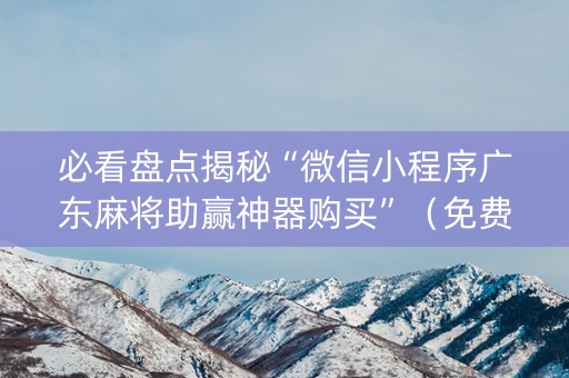 必看盘点揭秘“微信小程序广东麻将助赢神器购买”（免费辅助)