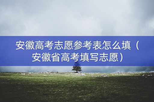 安徽高考志愿参考表怎么填（安徽省高考填写志愿）