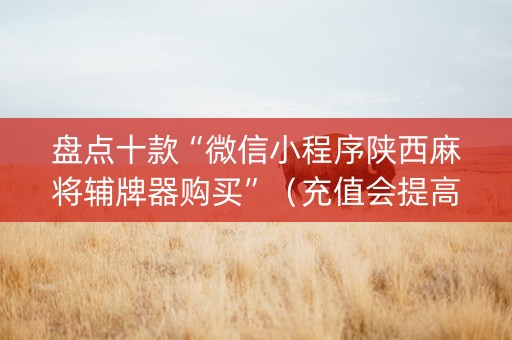 盘点十款“微信小程序陕西麻将辅牌器购买”（充值会提高胜率么)