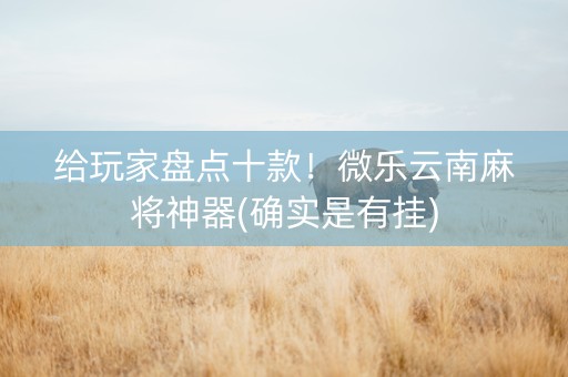 给玩家盘点十款！微乐云南麻将神器(确实是有挂)