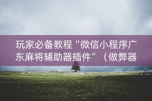 玩家必备教程“微信小程序广东麻将辅助器插件”（做弊器软件下载)