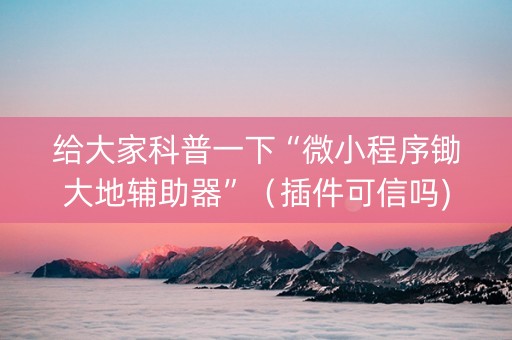 给大家科普一下“微小程序锄大地辅助器”（插件可信吗)