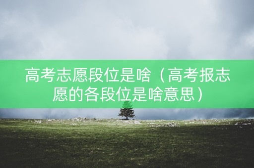 高考志愿段位是啥（高考报志愿的各段位是啥意思）