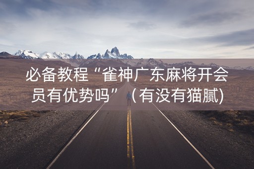 必备教程“雀神广东麻将开会员有优势吗”（有没有猫腻)