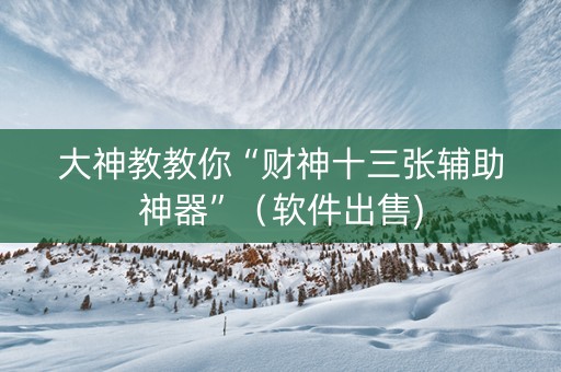 大神教教你“财神十三张辅助神器”（软件出售)