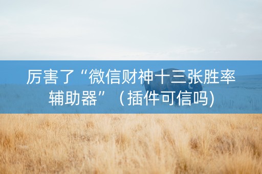 厉害了“微信财神十三张胜率辅助器”（插件可信吗)