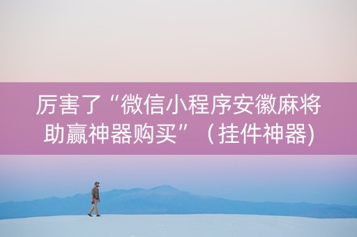 厉害了“微信小程序安徽麻将助赢神器购买”（挂件神器)