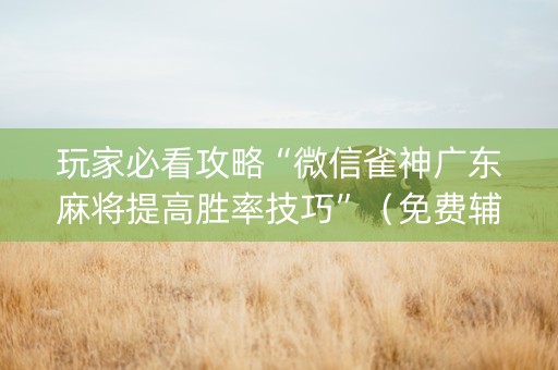 玩家必看攻略“微信雀神广东麻将提高胜率技巧”（免费辅助)