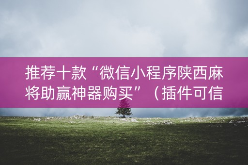 推荐十款“微信小程序陕西麻将助赢神器购买”（插件可信吗)