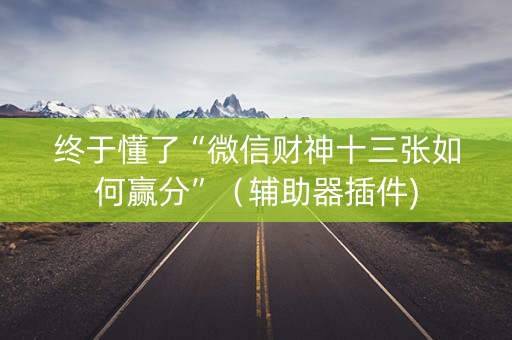 终于懂了“微信财神十三张如何赢分”（辅助器插件)