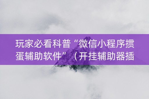 玩家必看科普“微信小程序掼蛋辅助软件”（开挂辅助器插件)