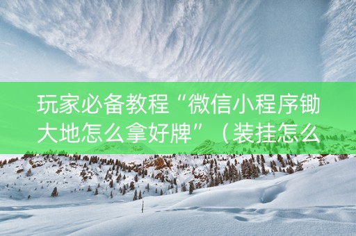 玩家必备教程“微信小程序锄大地怎么拿好牌”（装挂怎么安装)