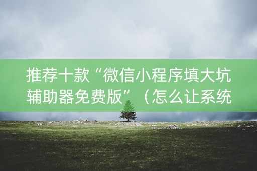 推荐十款“微信小程序填大坑辅助器免费版”（怎么让系统给自己好牌)