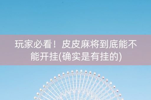 玩家必看！皮皮麻将到底能不能开挂(确实是有挂的)