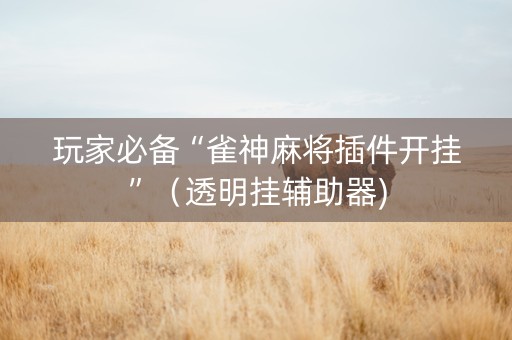 玩家必备“雀神麻将插件开挂”（透明挂辅助器)