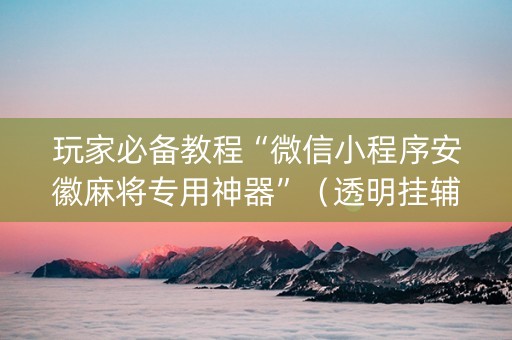 玩家必备教程“微信小程序安徽麻将专用神器”（透明挂辅助器)