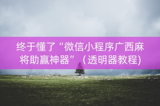 终于懂了“微信小程序广西麻将助赢神器”（透明器教程)