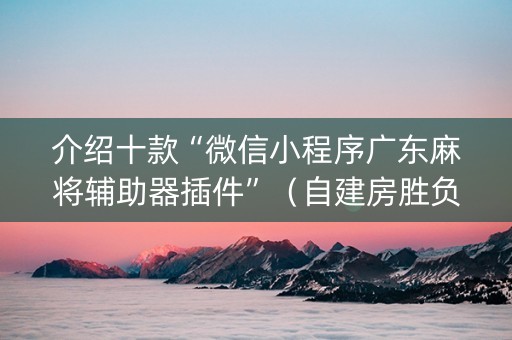 介绍十款“微信小程序广东麻将辅助器插件”（自建房胜负规律)