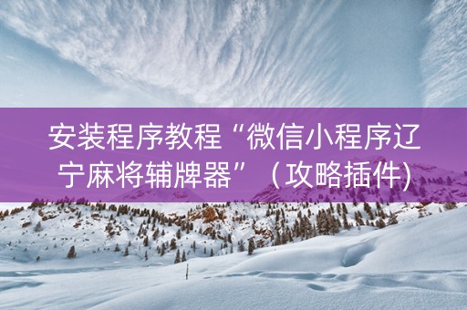 安装程序教程“微信小程序辽宁麻将辅牌器”（攻略插件)