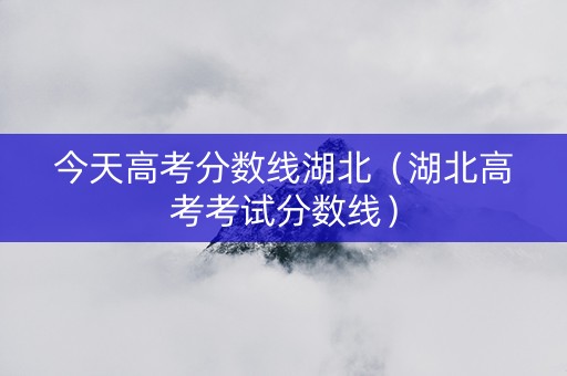 今天高考分数线湖北（湖北高考考试分数线）