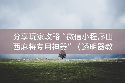 分享玩家攻略“微信小程序山西麻将专用神器”（透明器教程)