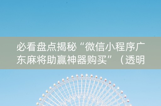 必看盘点揭秘“微信小程序广东麻将助赢神器购买”（透明挂辅助器)