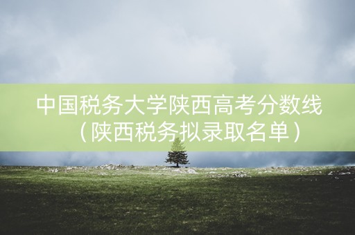 中国税务大学陕西高考分数线（陕西税务拟录取名单）