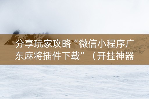 分享玩家攻略“微信小程序广东麻将插件下载”（开挂神器下载)