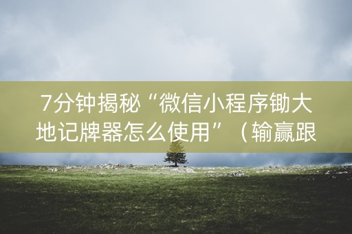 7分钟揭秘“微信小程序锄大地记牌器怎么使用”（输赢跟id号有关系吗)