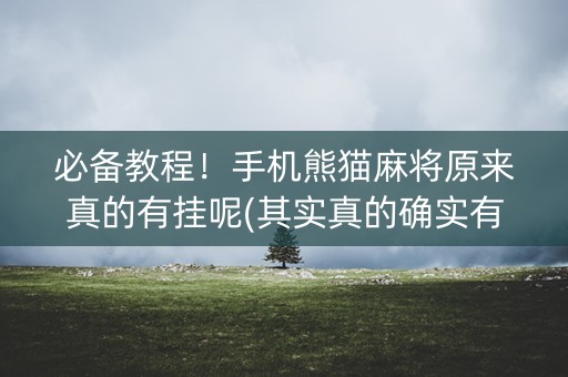 必备教程！手机熊猫麻将原来真的有挂呢(其实真的确实有挂)