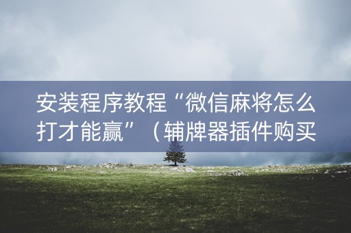 安装程序教程“微信麻将怎么打才能赢”（辅牌器插件购买)
