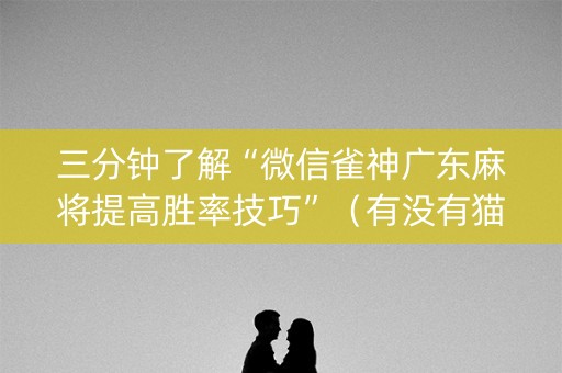 三分钟了解“微信雀神广东麻将提高胜率技巧”（有没有猫腻)