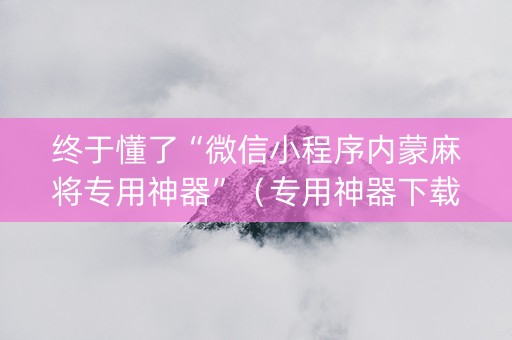 终于懂了“微信小程序内蒙麻将专用神器”（专用神器下载)
