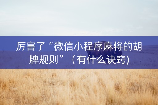 厉害了“微信小程序麻将的胡牌规则”（有什么诀窍)