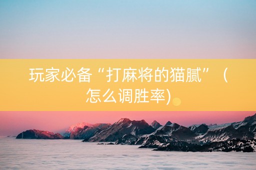 玩家必备“打麻将的猫腻”（怎么调胜率)