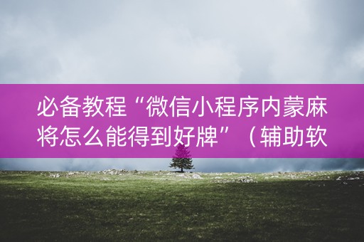 必备教程“微信小程序内蒙麻将怎么能得到好牌”（辅助软件)