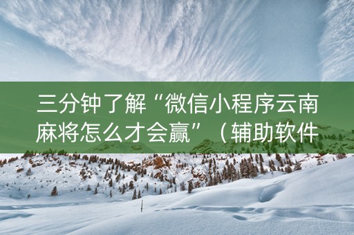 三分钟了解“微信小程序云南麻将怎么才会赢”（辅助软件)