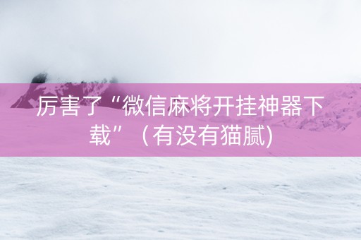 厉害了“微信麻将开挂神器下载”（有没有猫腻)