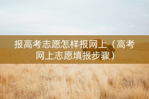 报高考志愿怎样报网上（高考网上志愿填报步骤）