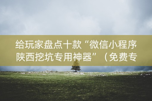 给玩家盘点十款“微信小程序陕西挖坑专用神器”（免费专用神器)