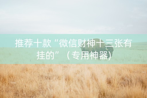 推荐十款“微信财神十三张有挂的”（专用神器)