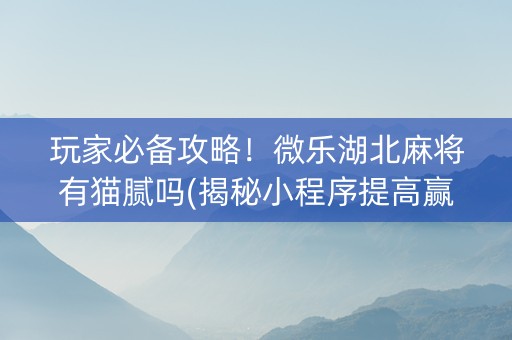 玩家必备攻略！微乐湖北麻将有猫腻吗(揭秘小程序提高赢的概率)