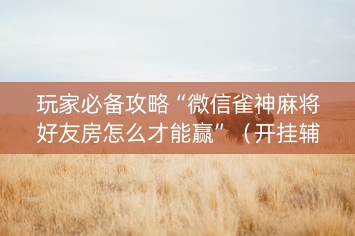玩家必备攻略“微信雀神麻将好友房怎么才能赢”（开挂辅助器插件)
