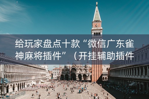 给玩家盘点十款“微信广东雀神麻将插件”（开挂辅助插件)
