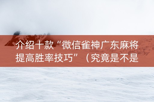 介绍十款“微信雀神广东麻将提高胜率技巧”（究竟是不是有挂)