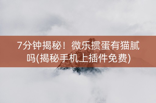 7分钟揭秘！微乐掼蛋有猫腻吗(揭秘手机上插件免费)
